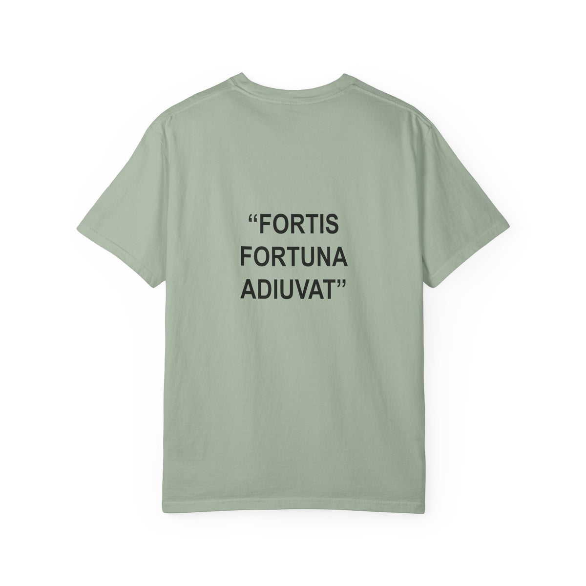 "Fortune favors the bold..." - T-Shirt
